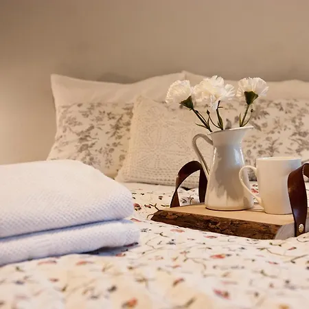 Daire I W Centrum Zakopanego Zakopane