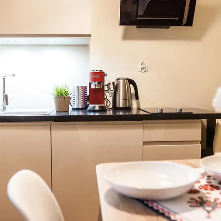 I W Centrum Zakopanego Daire Zakopane