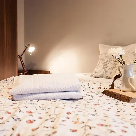 Daire I W Centrum Zakopanego *