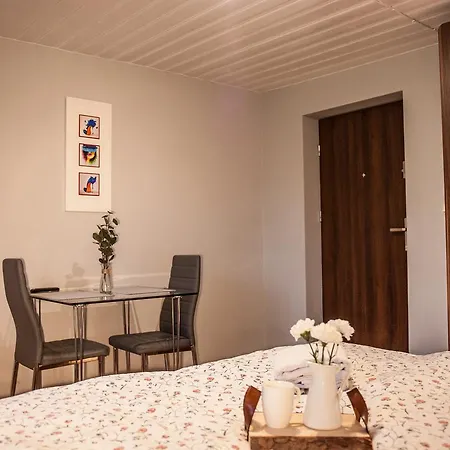 I W Centrum Zakopanego Daire Zakopane