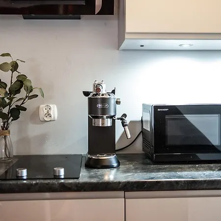 Gimnazjalna 5 - I W Centrum Zakopanego Διαμέρισμα *