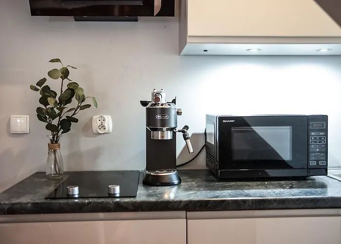 Gimnazjalna 5 - I W Centrum Zakopanego Appartamento *